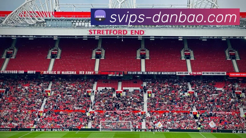 包大人担保官网平台生态图