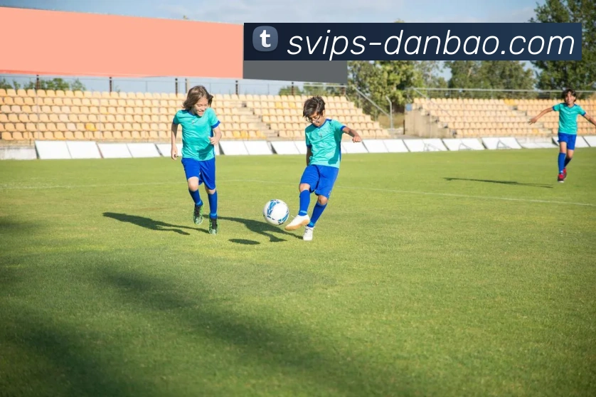 多媒体互动体验