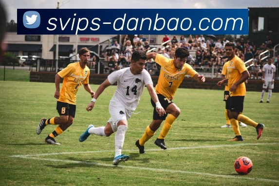 包大人担保官网的企业注重员工福利和职业发展，打造一个公平、公正的工作环境。坚信，优秀的员工是公司成功的基石。包大人担保平台的企业注重员工福利和职业发展，打造一个公平、公正的工作环境。坚信，优秀的员工是公司成功的基石。包大人担保集团官网APP 高清赛事图