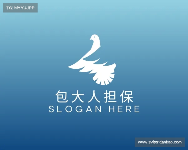 发现包大人担保